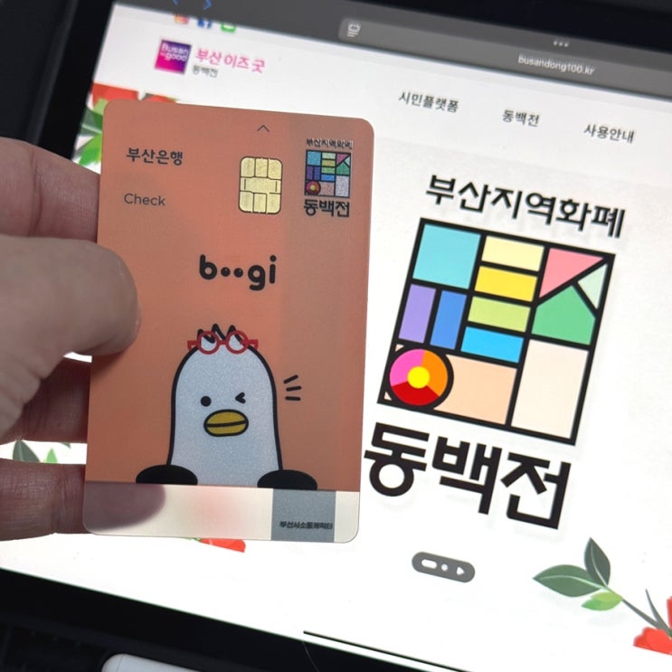  연말 최고의 선물이 동백전이네요! 13% 캐시백 선물 꼭챙기세요!!
