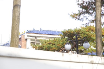 사진 9
