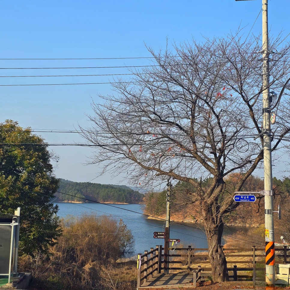 일능이칼국수 사진 1