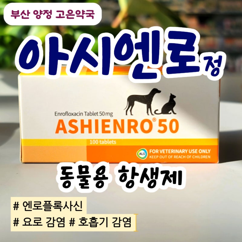 아시엔로 엔로플록사신 / 강아지, 고양이 방광염, 호흡기 감염, 외이도염 동물용 항생제