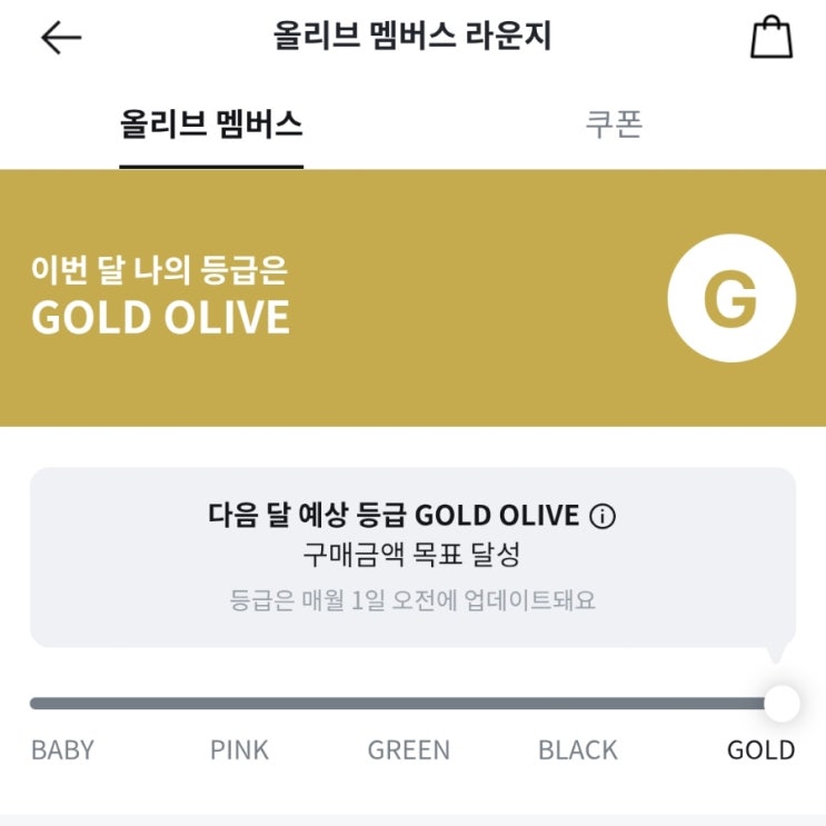  올리브영 VIP 등급 골드 기준 혜택 올리브키트 라운지 탈잉클래스 실사용은?