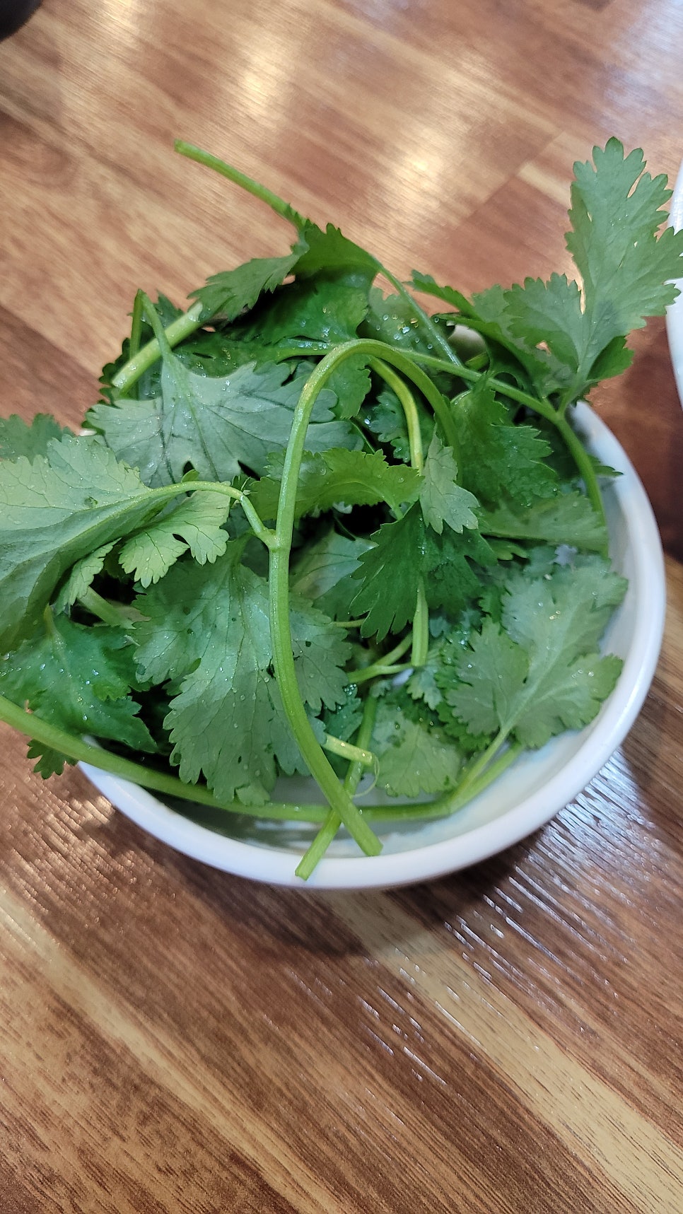 쑤쑤 사진 6