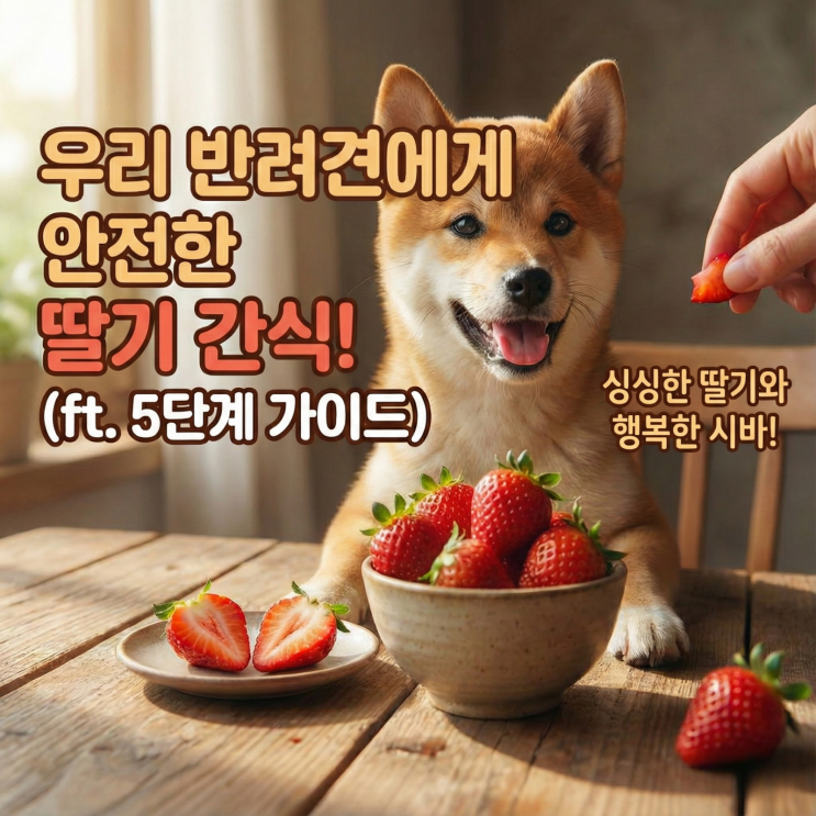  반려견에게 딸기 먹여도 될까? 급여량·손질법·주의사항 한 번에 알아보기