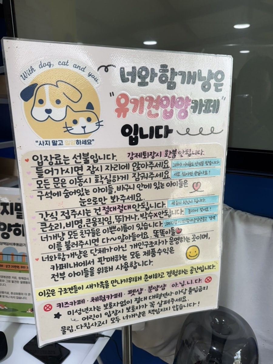 너와함개냥 사진 4