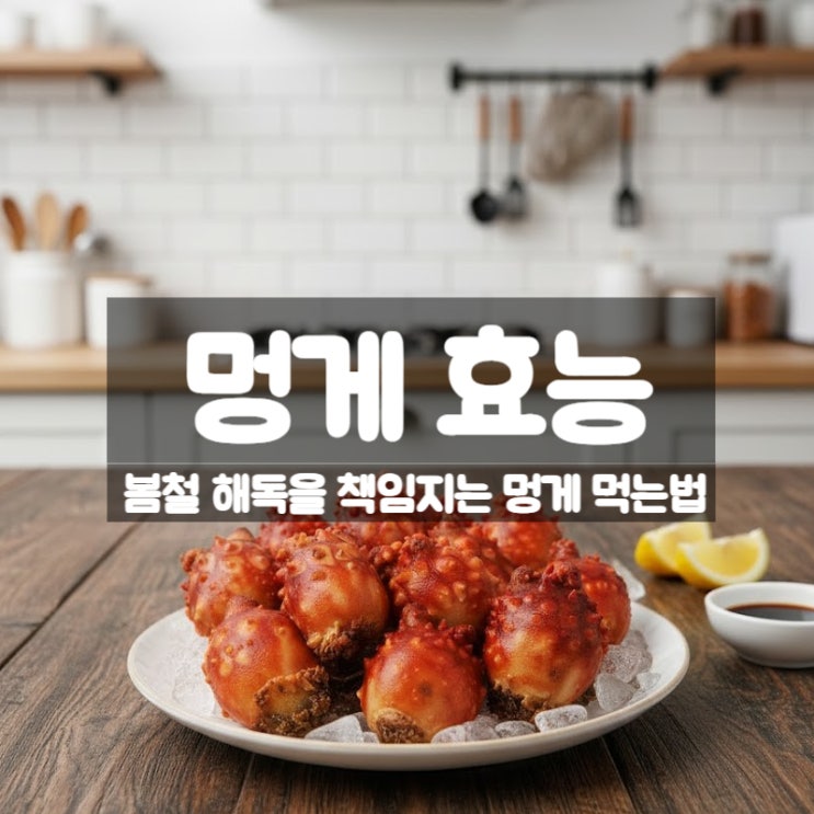  멍게 효능 제철 부작용 요리 먹는법 - 봄철 우렁쉥이 해독력