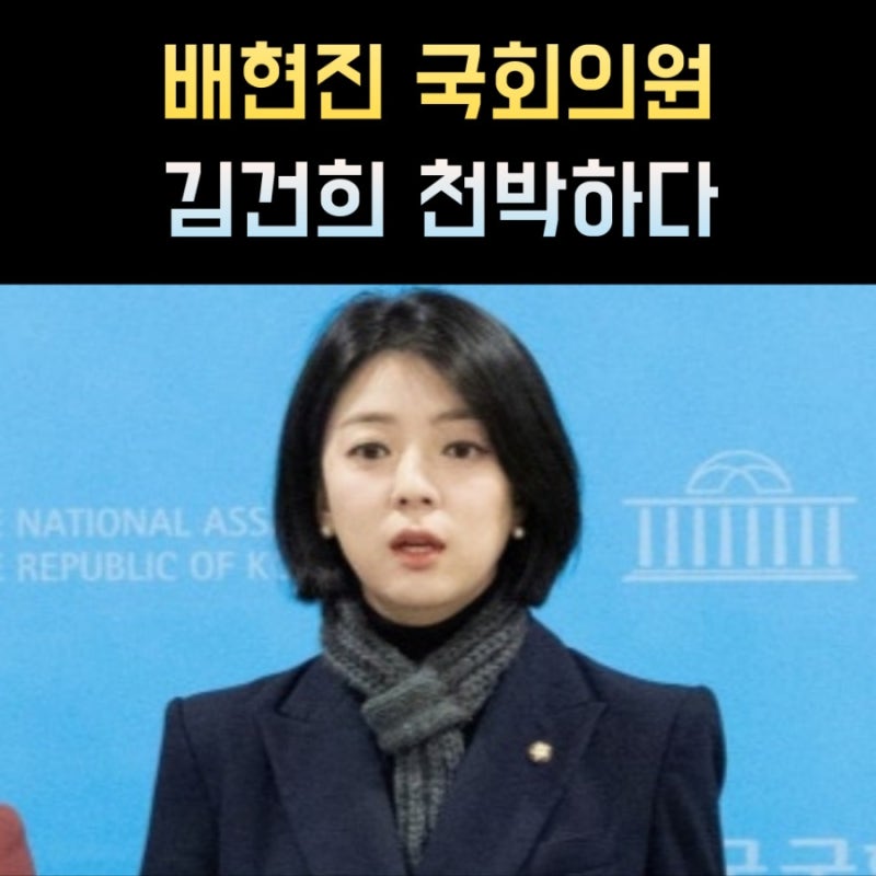 배현진 국회의원 프로필, 나이 고향 학력