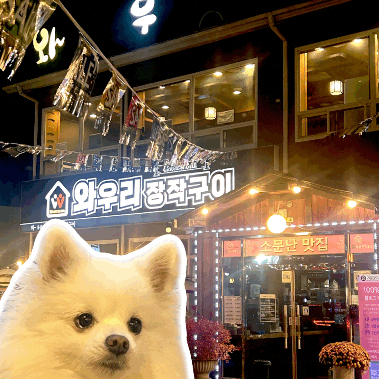  동탄 능동 실내 애견 동반 식당 미나리 냉삼 와우리장작구이