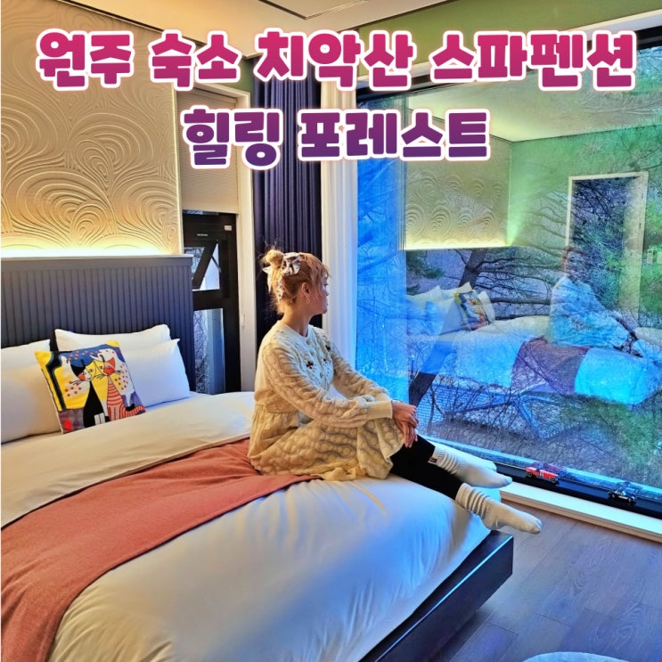  원주 숙소 힐링포레스트 치악산 독채 스파펜션 후기