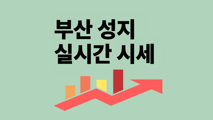  부산 핸드폰 성지 휴대폰 실시간 시세 정보