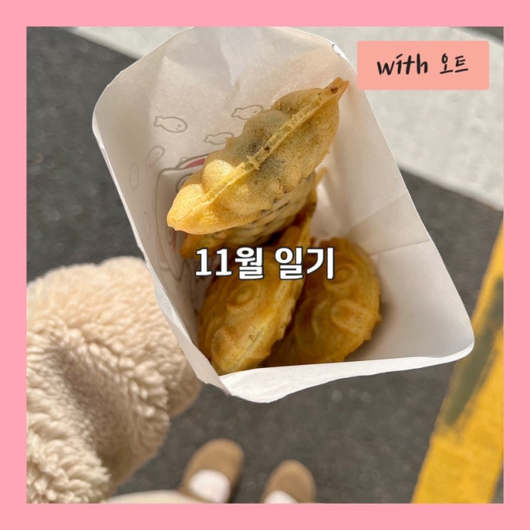  모기가 있는 겨울이라니, 11월 일기