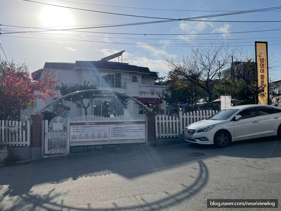 댕댕이좋은날 사진 2