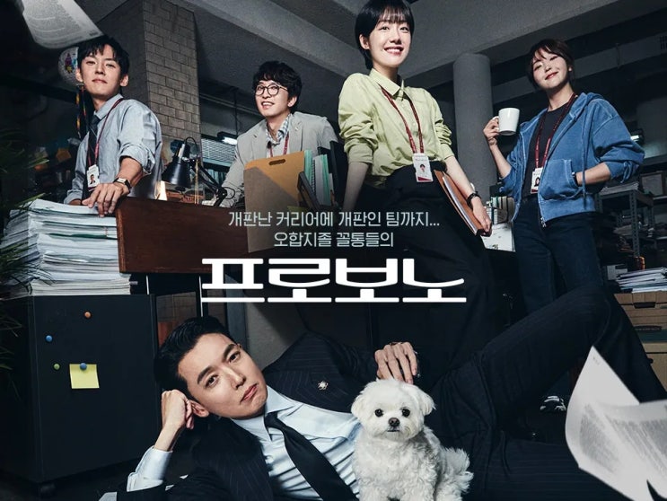  정경호 주연 드라마 프로보노의 매력과 뜻 몇부작 방송시간 인물관계도