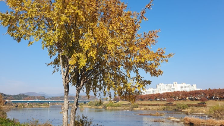  동지 팥죽 유래 먹는 시간, 그리고 우리가 지켜온 풍습들