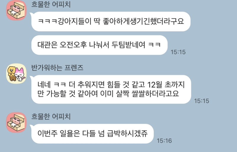 사진 6