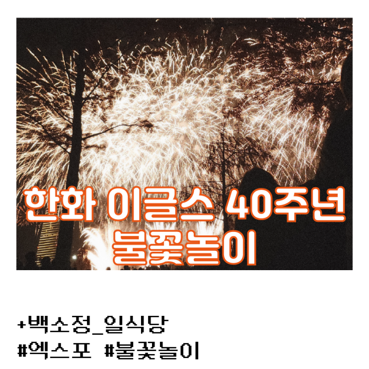  [한화 이글스 창립 40주년 불꽃놀이] 대전 엑스포 불꽃놀이 겸 사람구경_민족대이동 있었던 불꽃놀이 행사 당일...