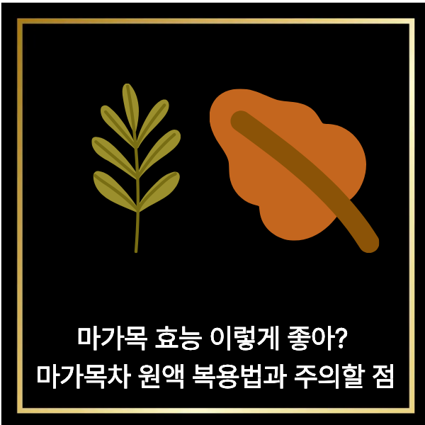  마가목 효능 이렇게 좋아? 마가목차 원액 복용법과 주의할 점