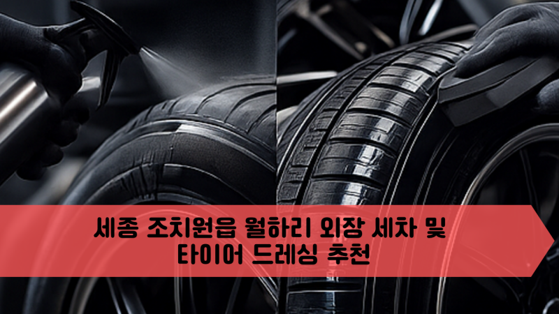 세종 조치원읍 월하리 외장 세차 및 타이어 드레싱 추천