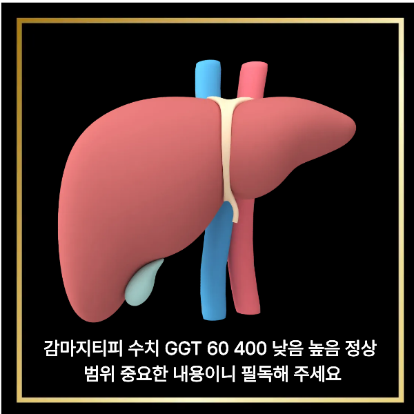  감마지티피 수치 GGT 60 400 낮음 높음 정상 범위 중요한 내용이니 필독해 주세요