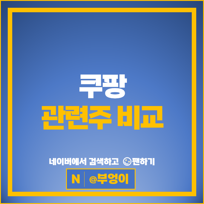 쿠팡 관련주 다날 쇼박스 주가 디아이씨 태경케미칼 동방 주식