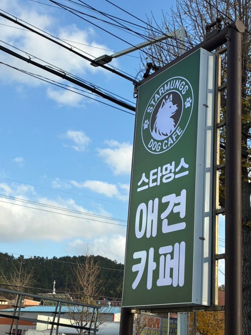 사진 4