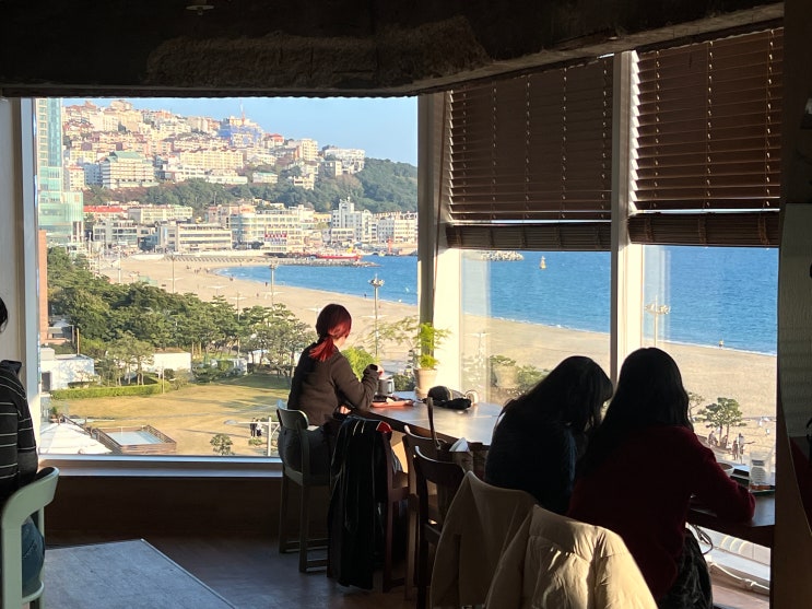  해운대 오션뷰 카페 추천 워킹홀리데이 해운대