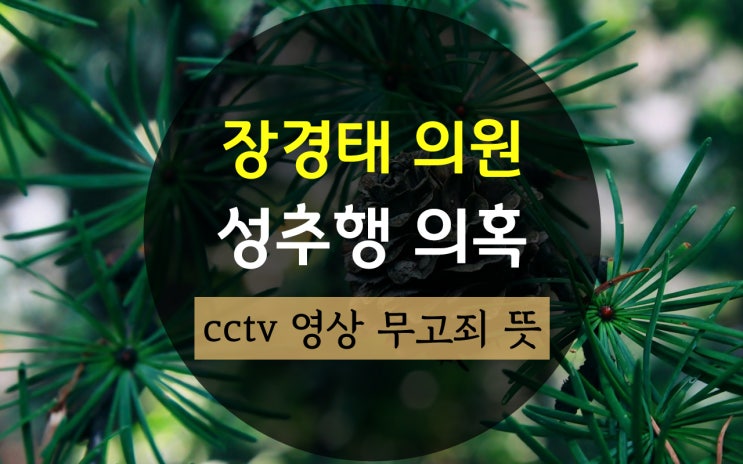 <b>장경태</b> 의원 프로필, <b>성추행 의혹</b> cctv 영상 무고죄 뜻