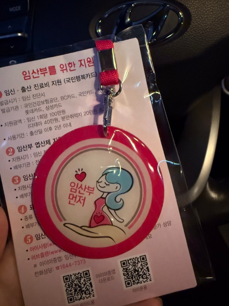 [임신확인서 발급 후 해야 할 일] 창원보건소 임산부 등록 준비물, 임산부 뱃지 받기