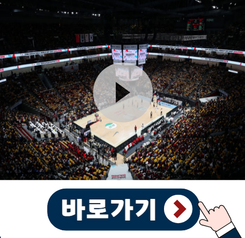 <b>농구월드컵</b> 한국 중국 <b>농구</b> <b>아시아예선</b> 2차전 중계 하이라이트