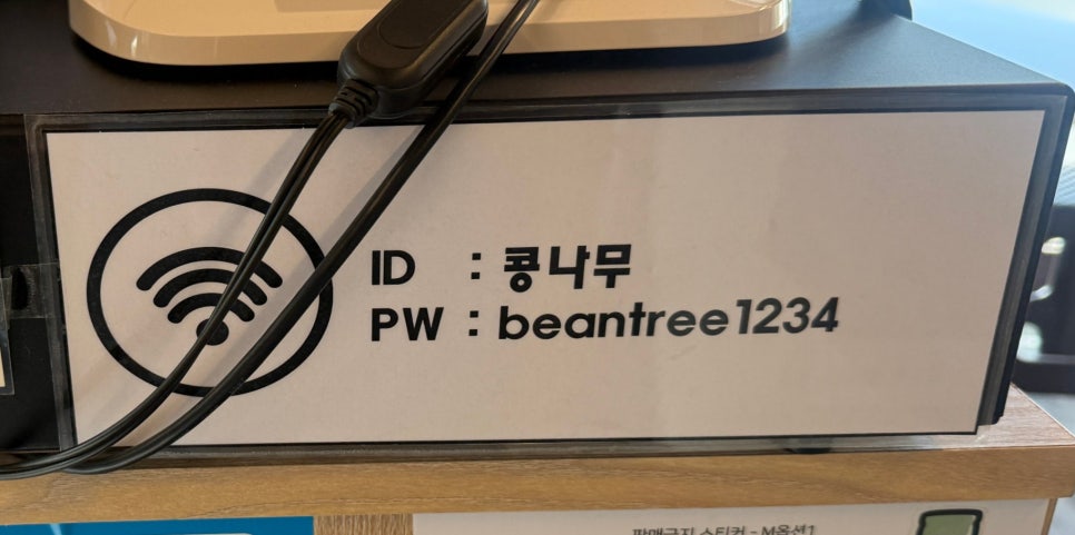 콩나무 사진 4
