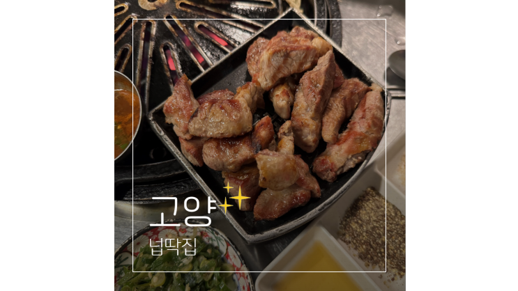  삼송역 맛집 넙딱집 고양스타필드 근처 모임 회식장소 가볼만한곳
