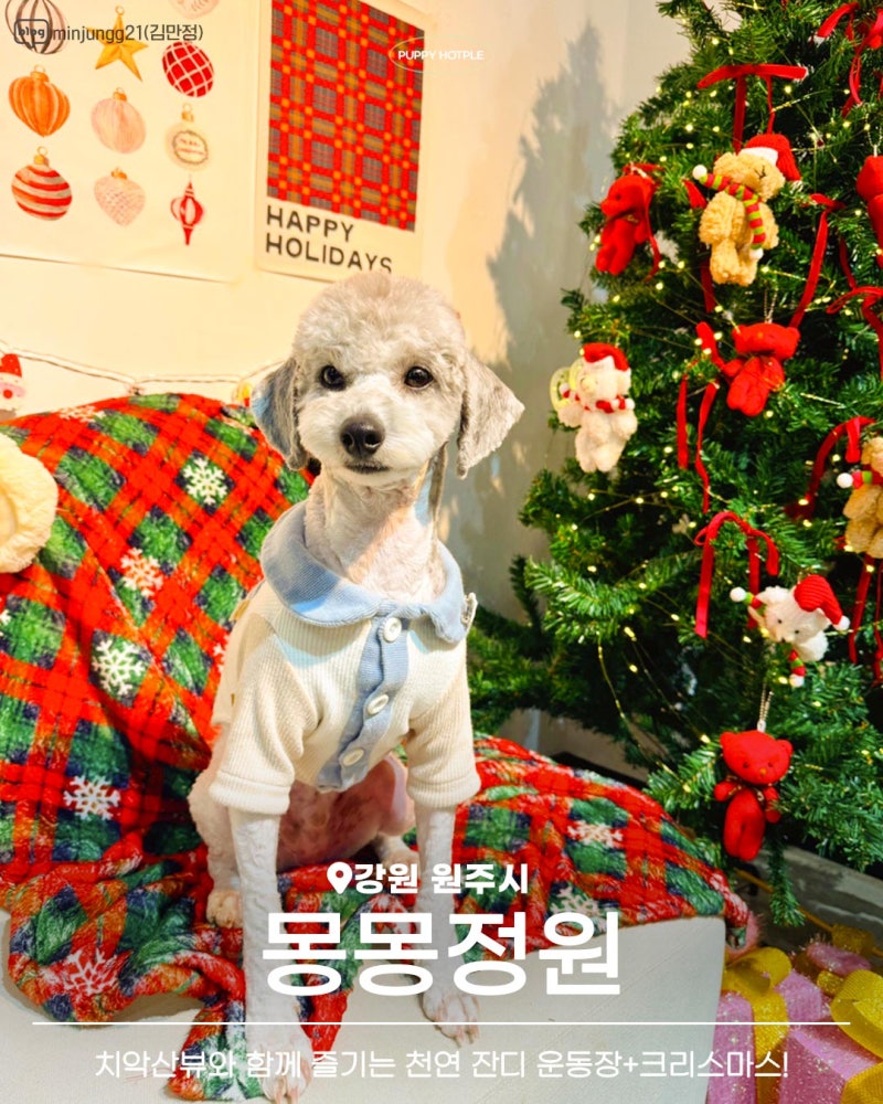 몽몽정원