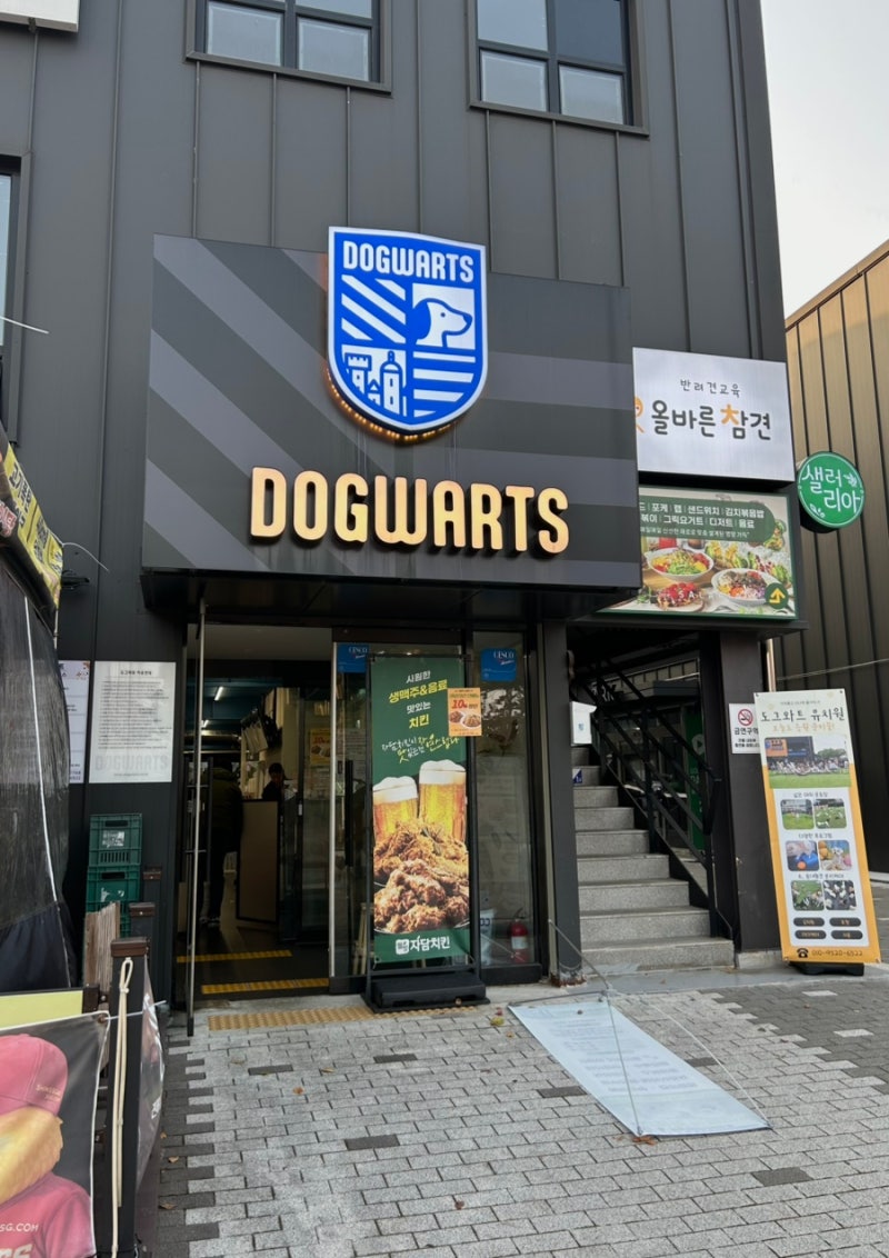 도그와트 인천문학점