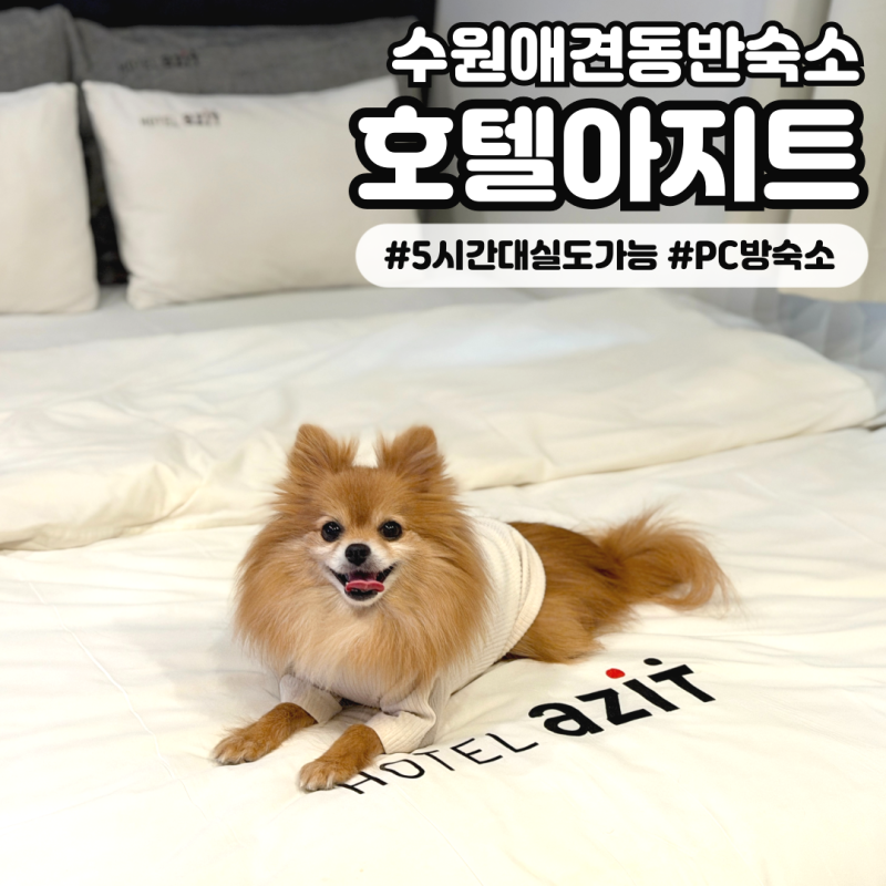 호텔아지트