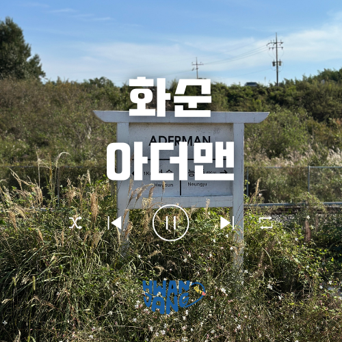  화순 카페 아더맨 / 기차 포토존과 고양이가 반겨주는 감성 카페 리뷰