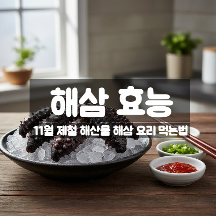  해삼 효능 부작용 요리 먹는법 - 11월 제철 시기 바다의 보약