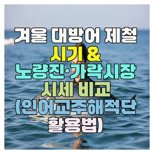  겨울 대방어 제철 시기 & 노량진·가락시장 시세 비교 (인어교주해적단 활용법)