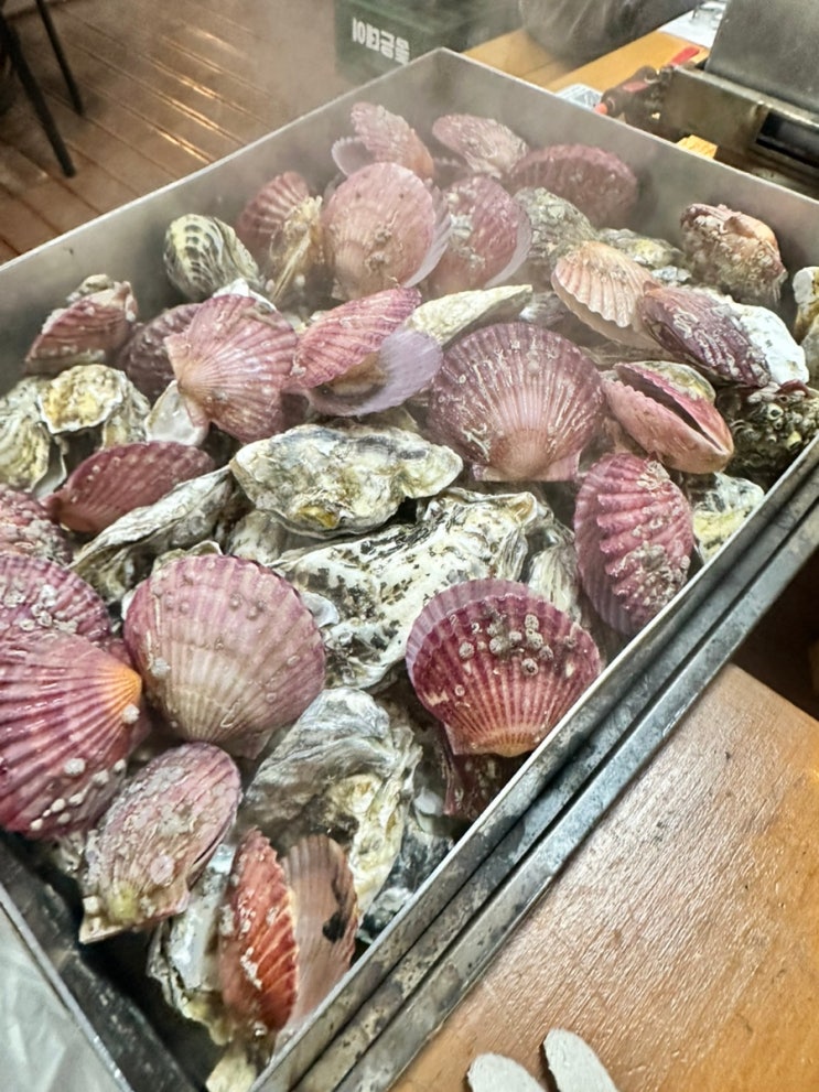  광양 중마동 굴가리비찜 맛집 - 마동쉼터
