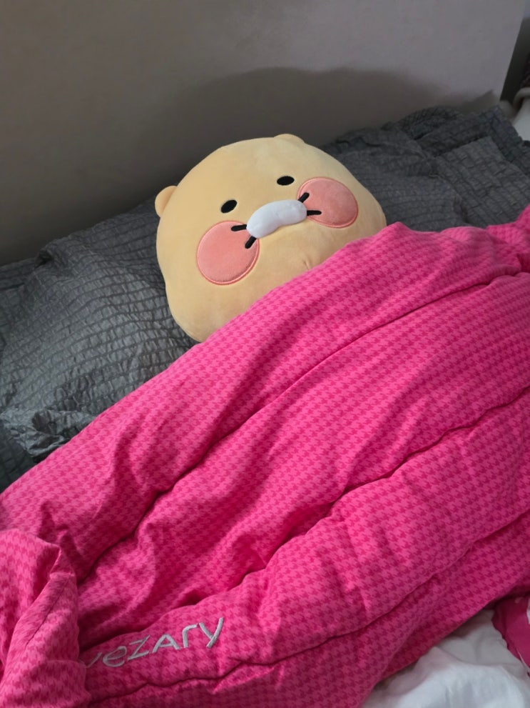  신혼부부 일상 먹방 먹부림 일기