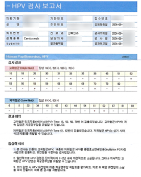 HPV 바이러스 고위험군 68,51,56번 증상과 치료 방향