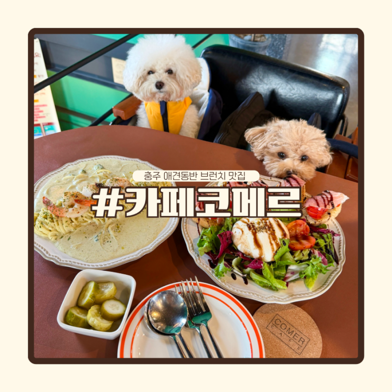 사진 6