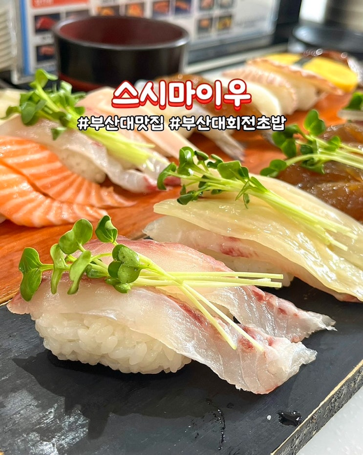  부산대맛집 스시마이우 점심특선 회전초밥 가성비밥집