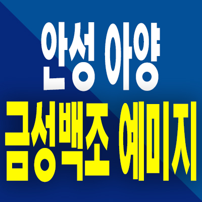  안성 아양 금성백조 예미지 분양가 옥산동 분양가상한제 미분양아파트 공급내용