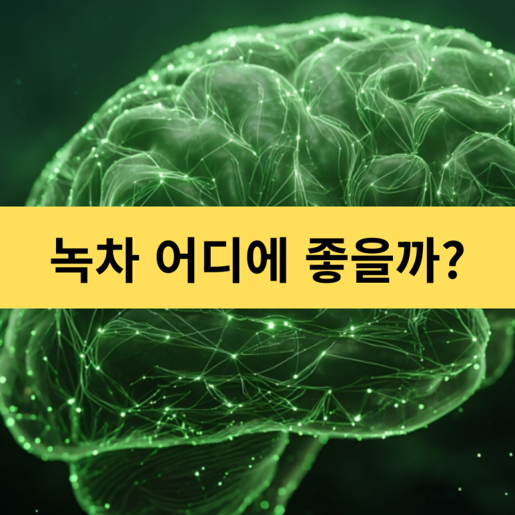  녹차 어디에 좋을까? 녹차의 몸 속 여행 | 녹차 효능 기관별로 알아보기 | 마이크로바이옴 | 카테킨