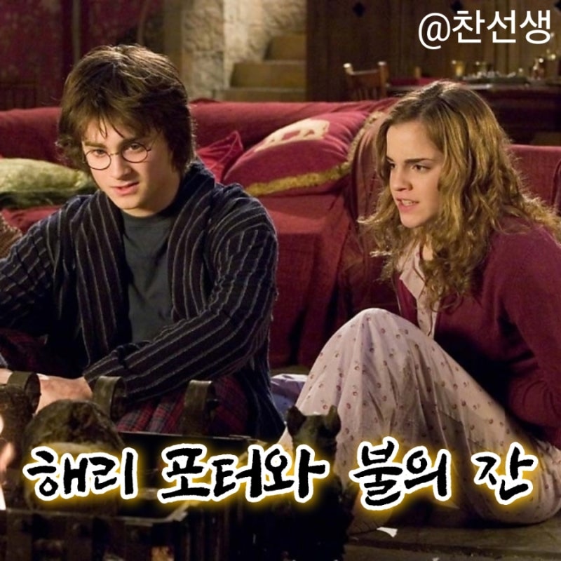 영화 해리 포터와 불의 잔 정보 줄거리 결말 출연진 평점 다니엘래드클리프 로버트패틴슨 랄....