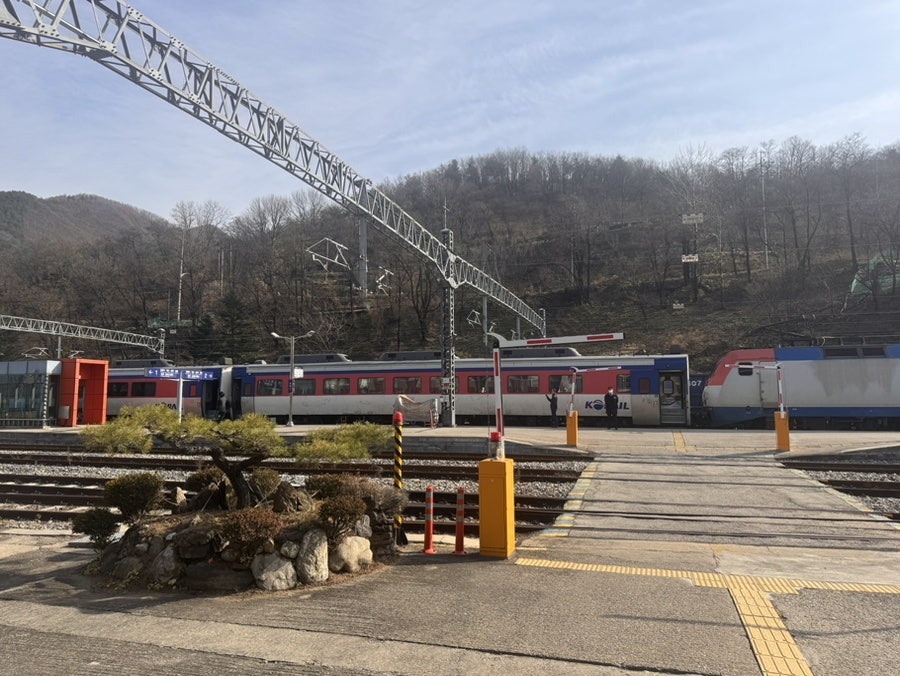 예손식당 사진 6