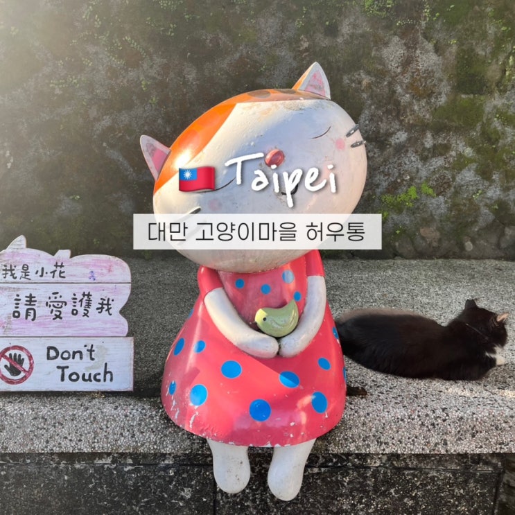  대만 고양이마을 허우통 가는법 투어후기 타이베이 여행정보