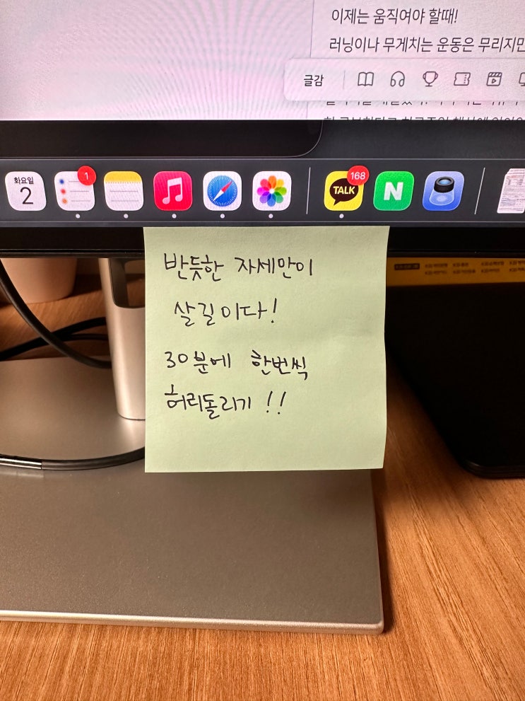  임산부 환도선다 도수치료 운동 스트레칭 테이핑 다해본 통증 극복일기