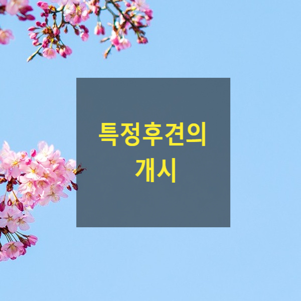  특정후견의 개시(15)(신청, 개시신청, 후견등기, 가정법원)