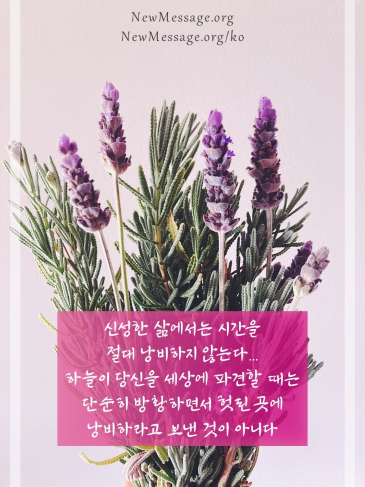  신성한 삶에서는 시간을 절대 낭비하지 않는다 | 하늘이 당신을 세상에 파견할 때는 단순히 방황하면서 헛된 곳에 낭비하라고 보낸 것이 아니다
