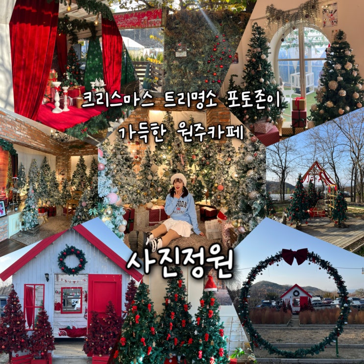  내돈내산 | 크리스마스 트리천국 포토존이 가득한 데이트로 추천하는 원주카페 “사진정원”